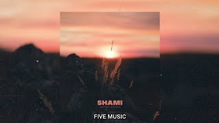 Shami - Рассвет впереди
